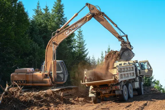 デンディ カジノ サポート